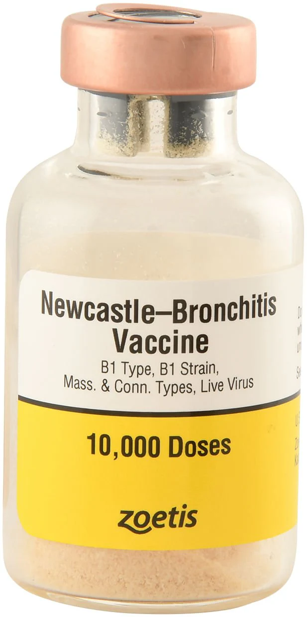 Newcastle-Bronchitis for Chickens - Image 1