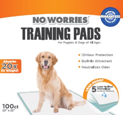 No Worries 12-Hour Dog Training Pads, 100 ct, 22" x 22" - Image 1