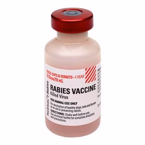 Rx Nobivac 1-Rabies Vaccine for Dogs & Cats, 10 mL Vial, No Tags - Image 1