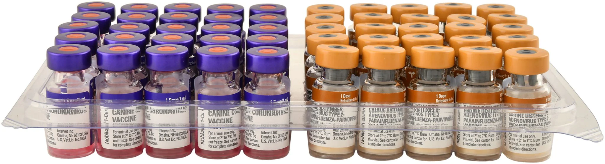 Nobivac Canine 1-DAPPv+Cv Dog Vaccine - Image 2