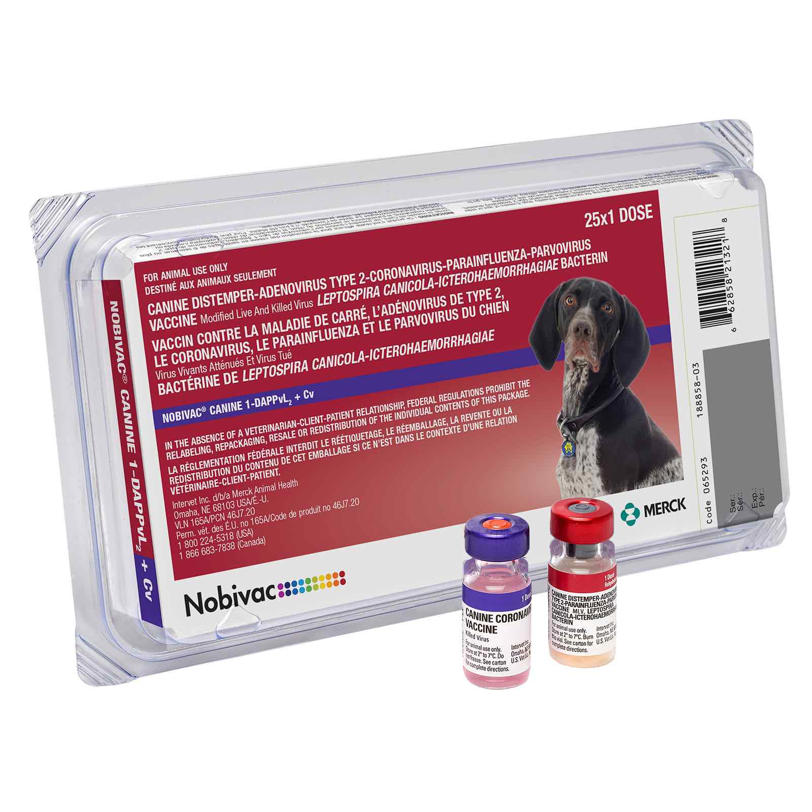 Nobivac Canine 1-DAPPvL2+Cv (8-way) - Image 1