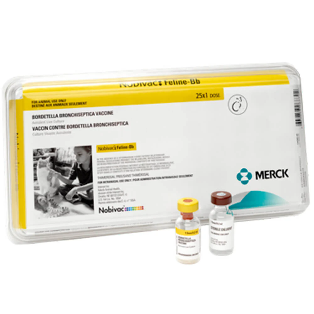 Nobivac Feline-Bb Intranasal Cat Vaccine, 25 x 1 Dose - Image 1