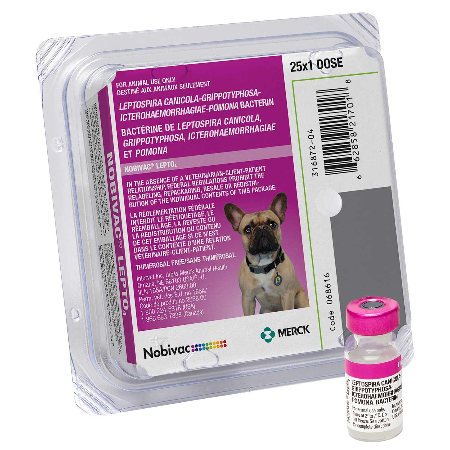 Nobivac Lepto 4 Dog Vaccine, 25 x 1 - Image 1
