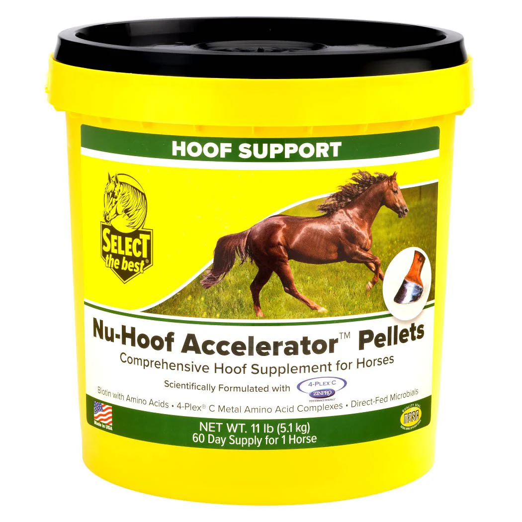 Nu-Hoof Accelerator Pellets – Rapid Hoof Growth & Strength Supplement for Horses - Image 1