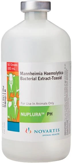 NUPLURA PH Cattle Vaccine - Image 1