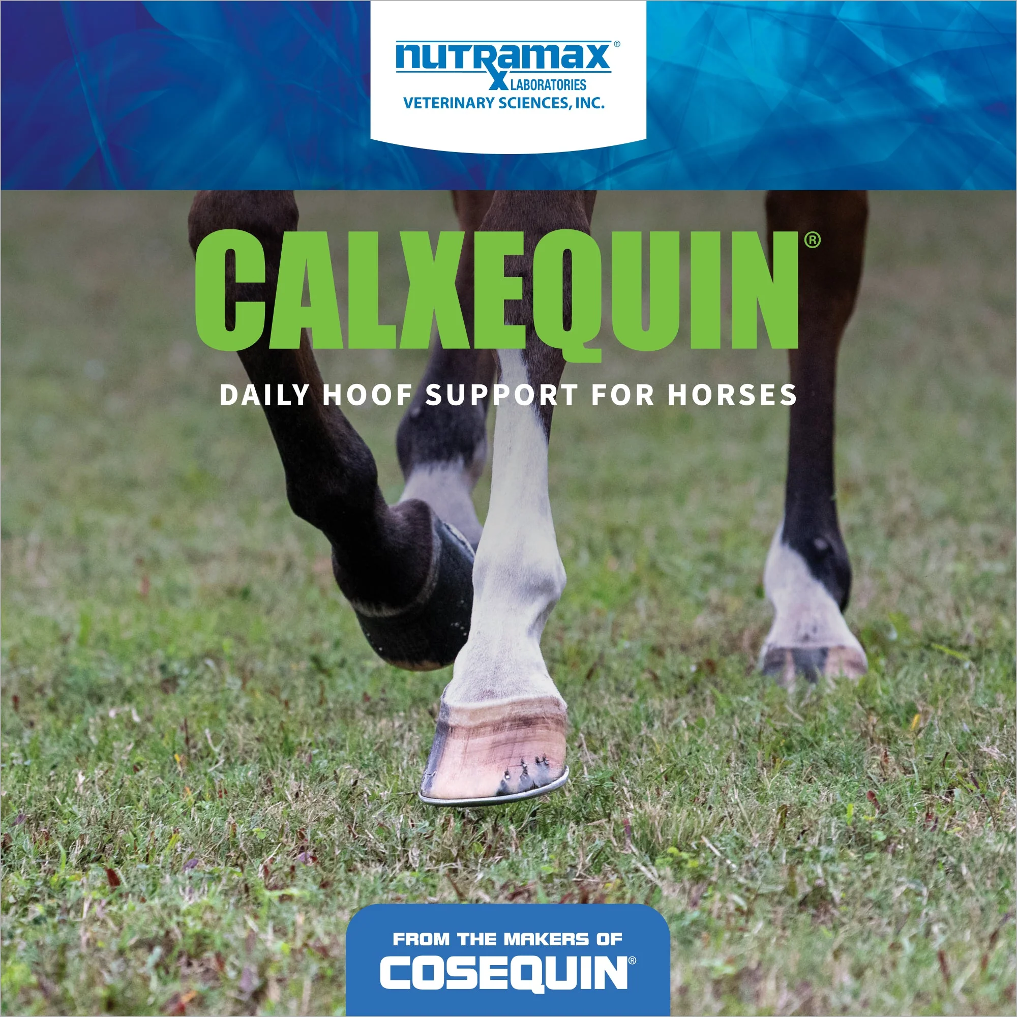 Nutramax Cosequin Calxequin Pellets Daily Hoof Support for Horses, 1260 Grams - Image 3