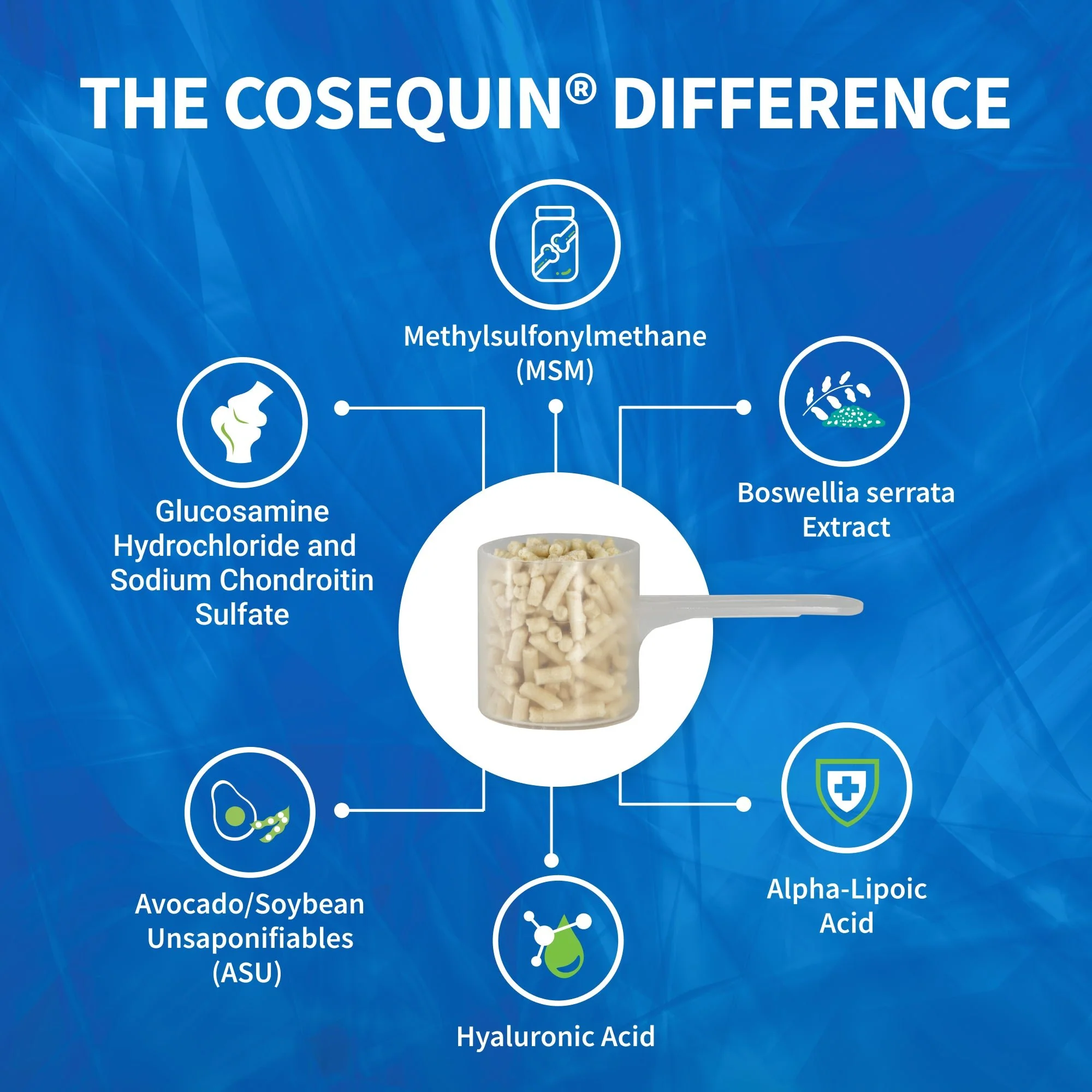 Nutramax Cosequin Equine ASU Plus Pellets, 1050 Grams - Image 2