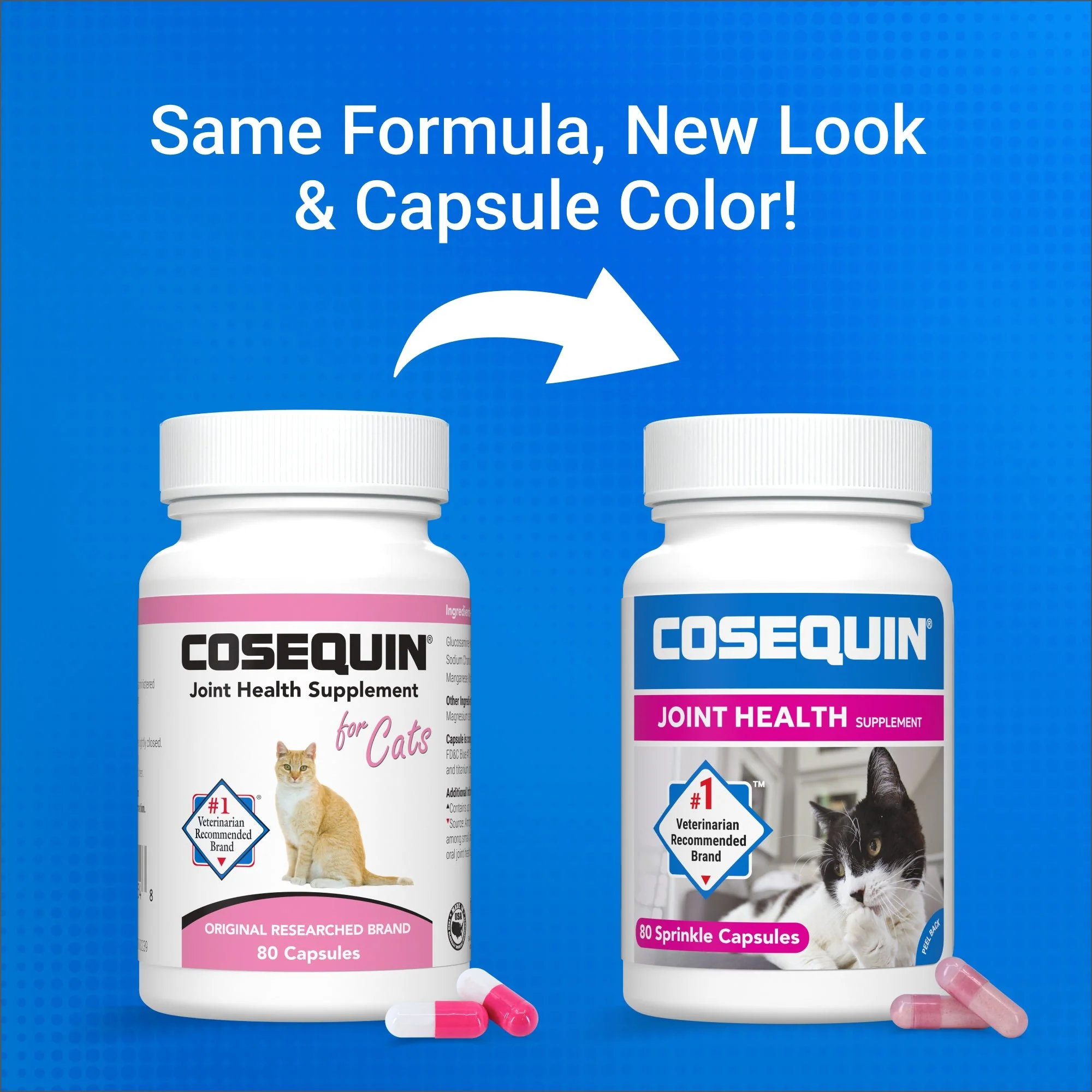 Nutramax Cosequin Joint Health with With Glucosamine and Chondroitin Supplement for Cats - Image 2