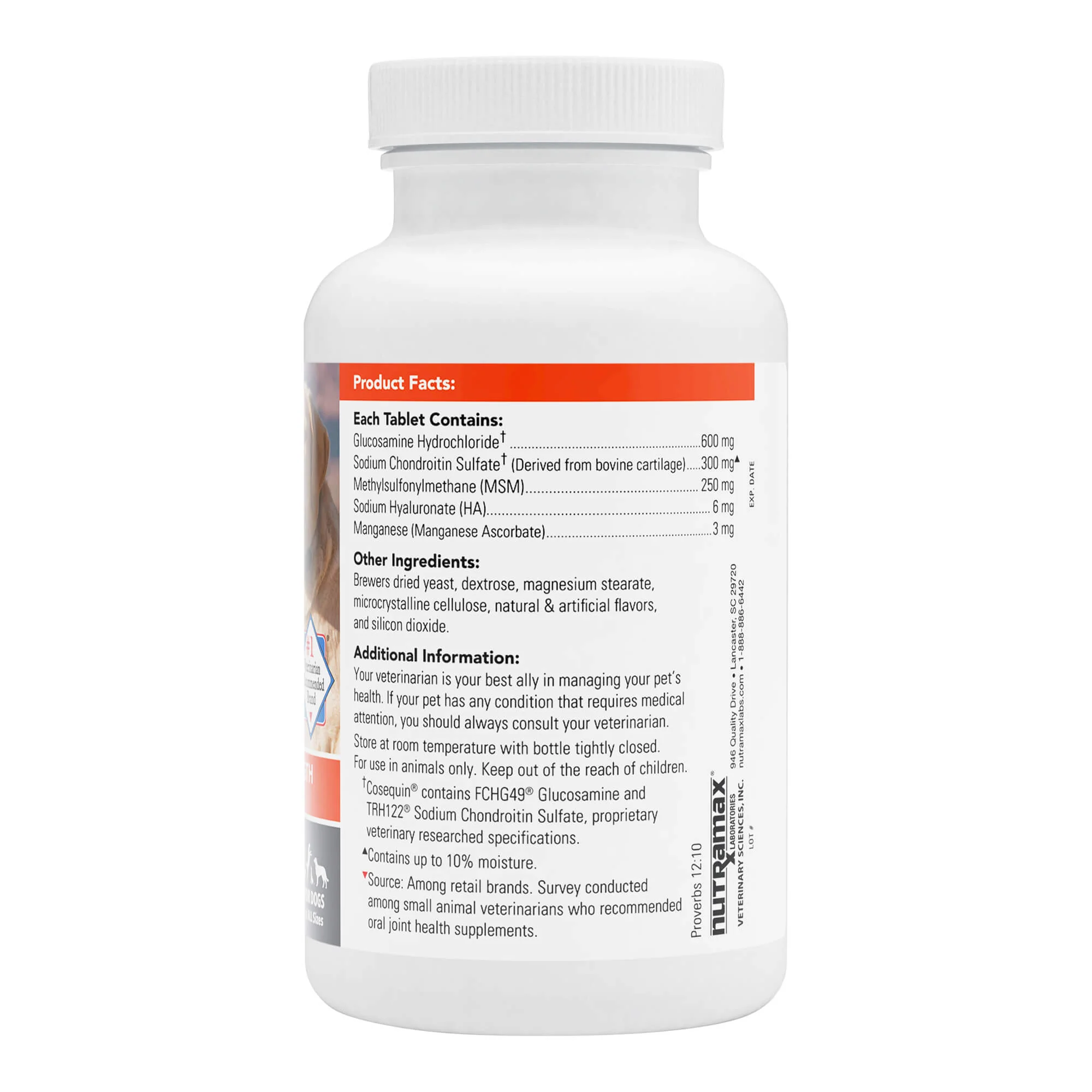 Nutramax Cosequin Maximum Strength Joint Health Plus MSM & Ha Supplement for Dogs - Image 2