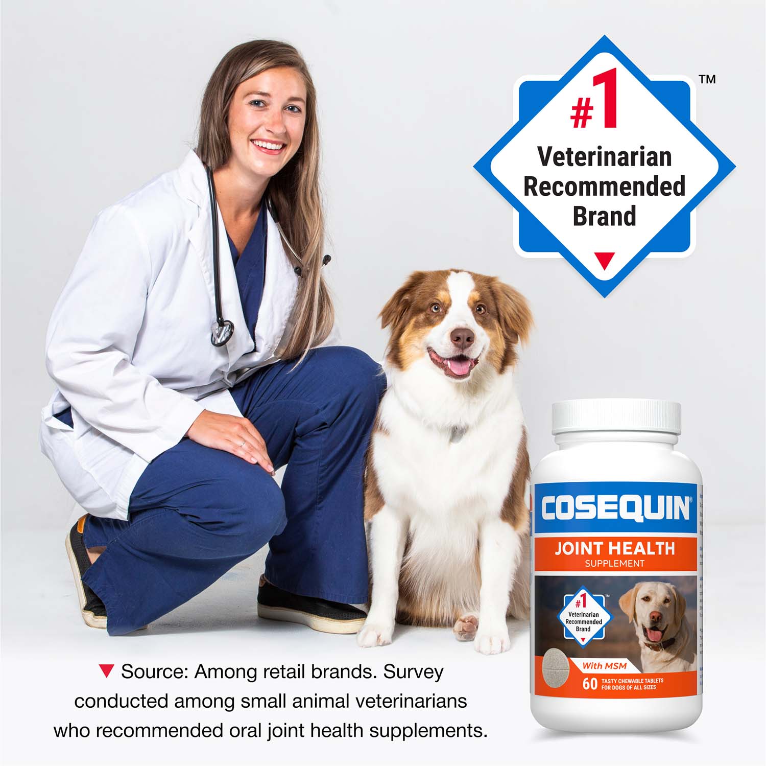 Nutramax Cosequin Maximum Strength Joint Health Plus MSM Supplement for Dogs, Chewable Tablets - Image 3