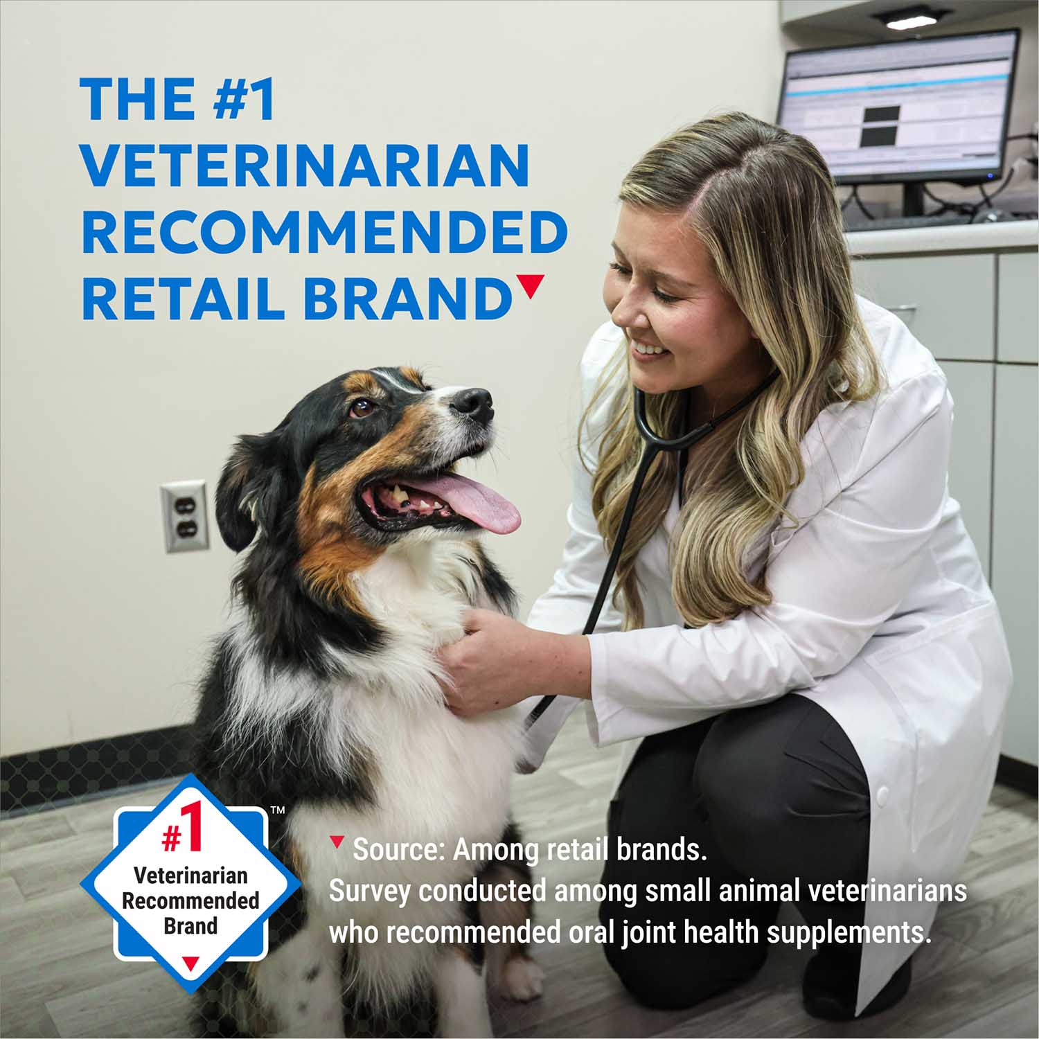 Nutramax Cosequin Standard Strength Joint Health Supplement for Dogs, With Glucosamine and MSM - Image 3