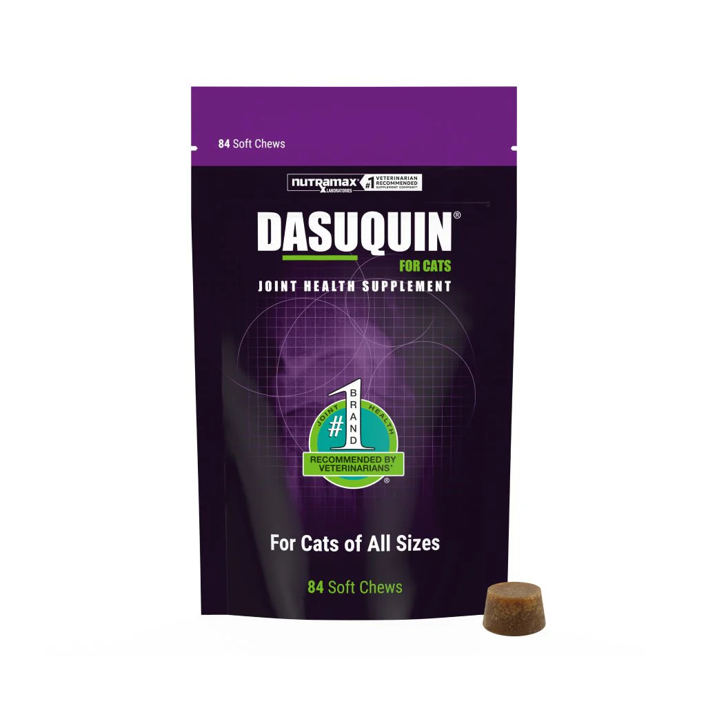 Nutramax Dasuquin Joint Health Supplement for Cats, Soft Chews - Image 1