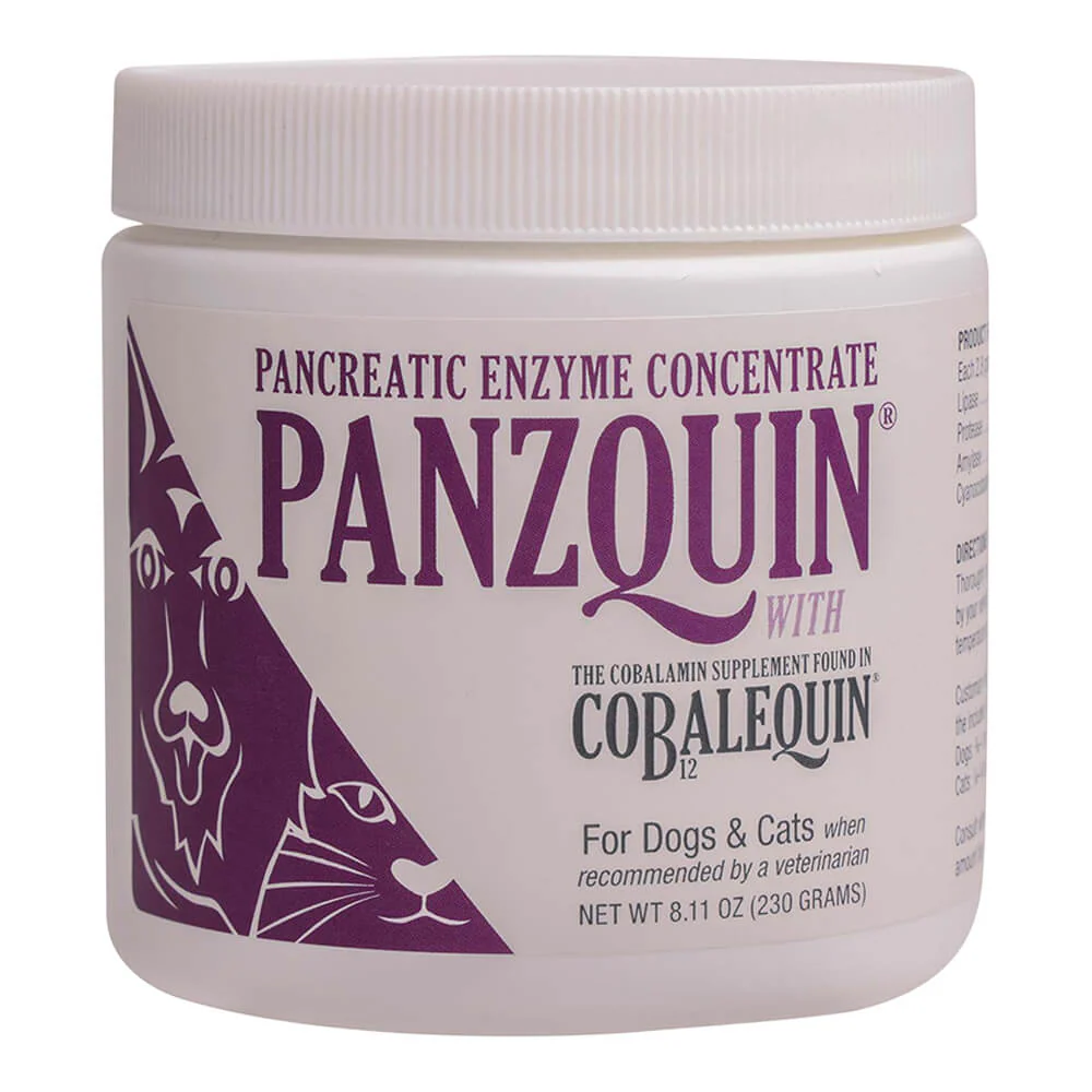 Nutramax Panzquin Powder Pancreatic Supplement for Cats/Sm Dogs, 8.1 oz - Image 1