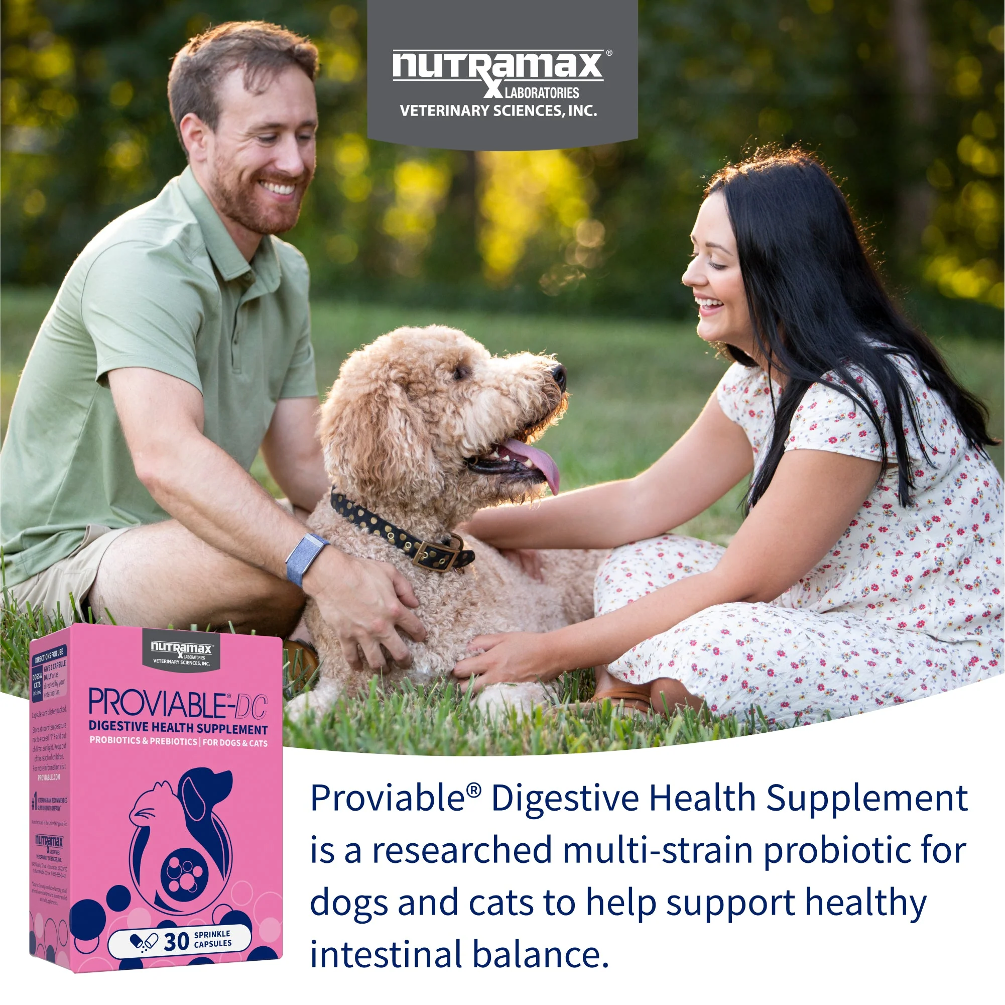 Nutramax Proviable-DC Capsules for Dogs & Cats - Image 3