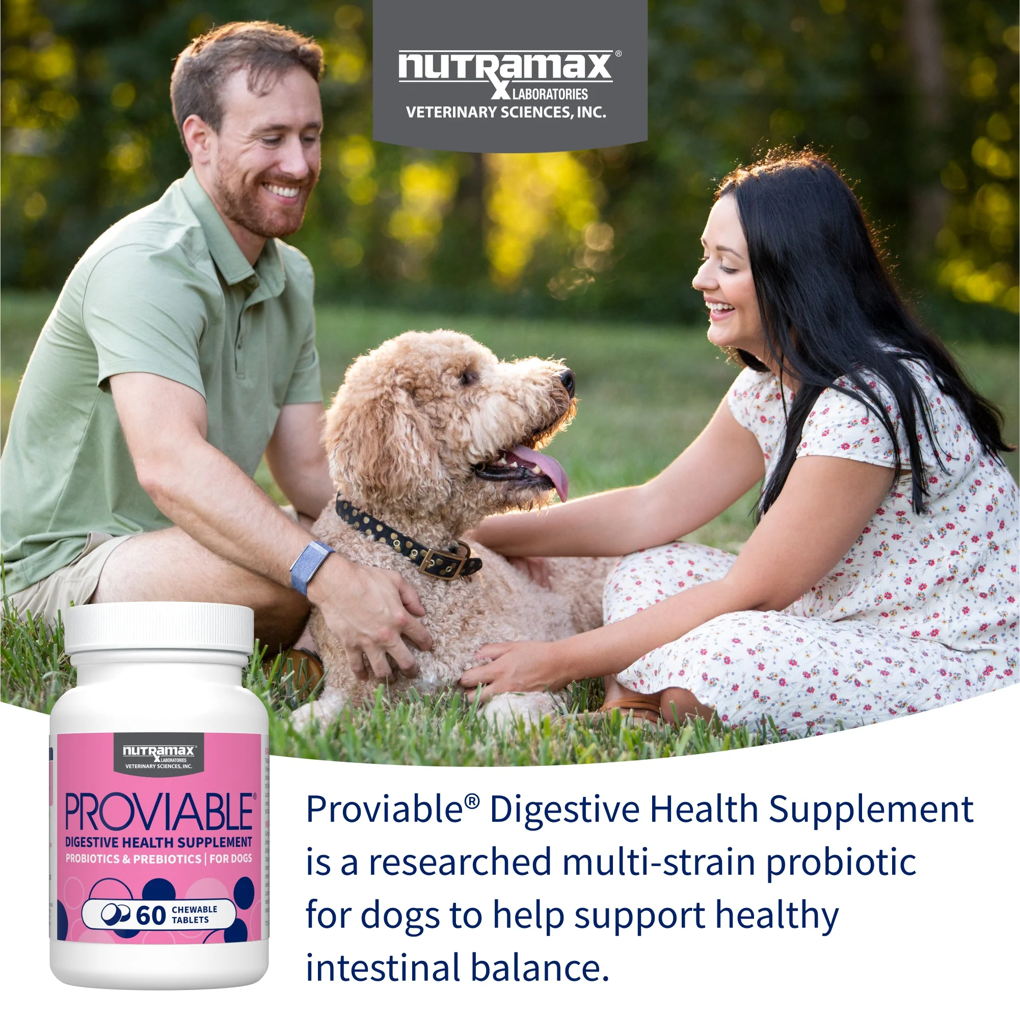 Nutramax Proviable-DC Chew Tablets for Dogs, 60 ct - Image 2