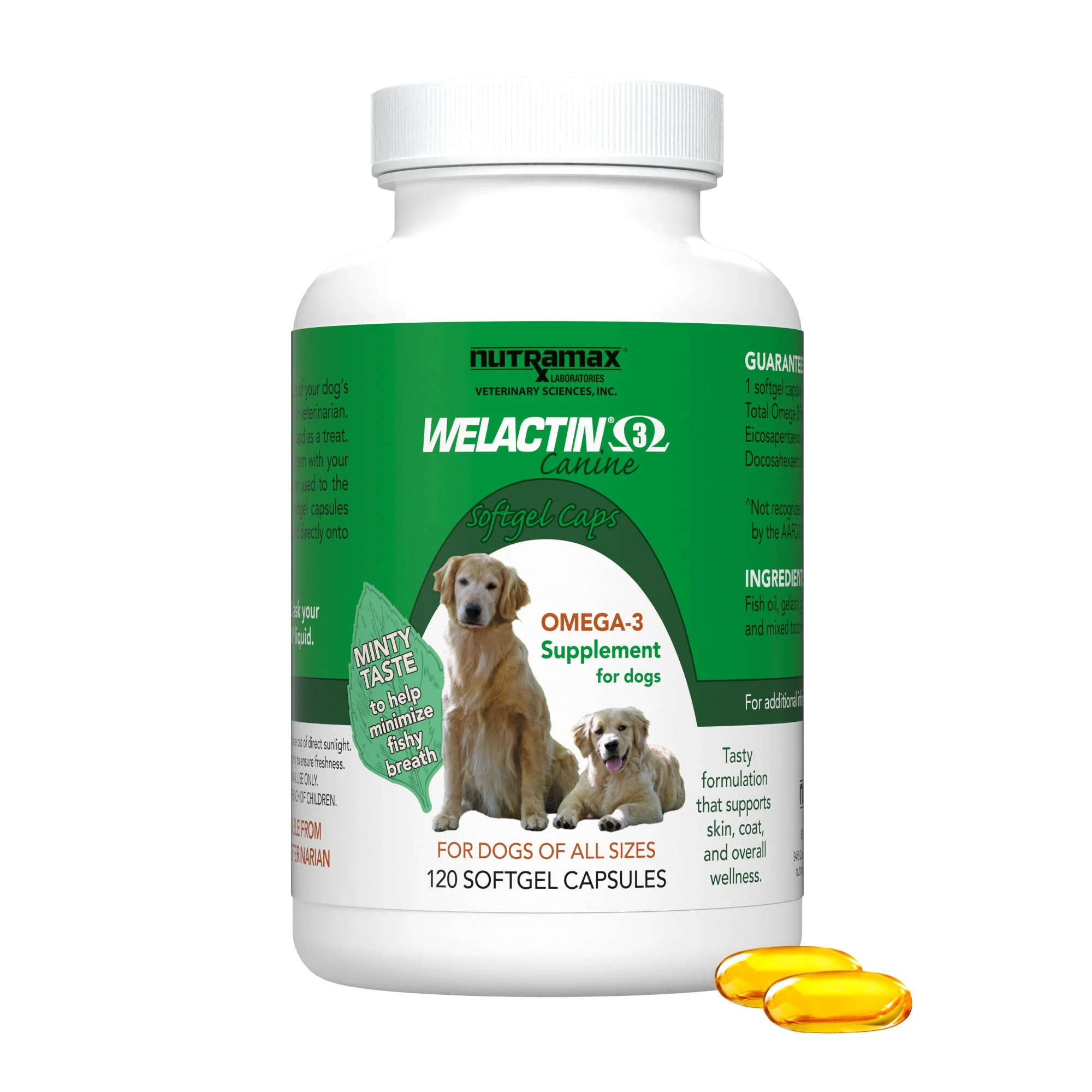 Nutramax Welactin Canine Softgels - Omega 3 Supplement for Dogs - Image 1