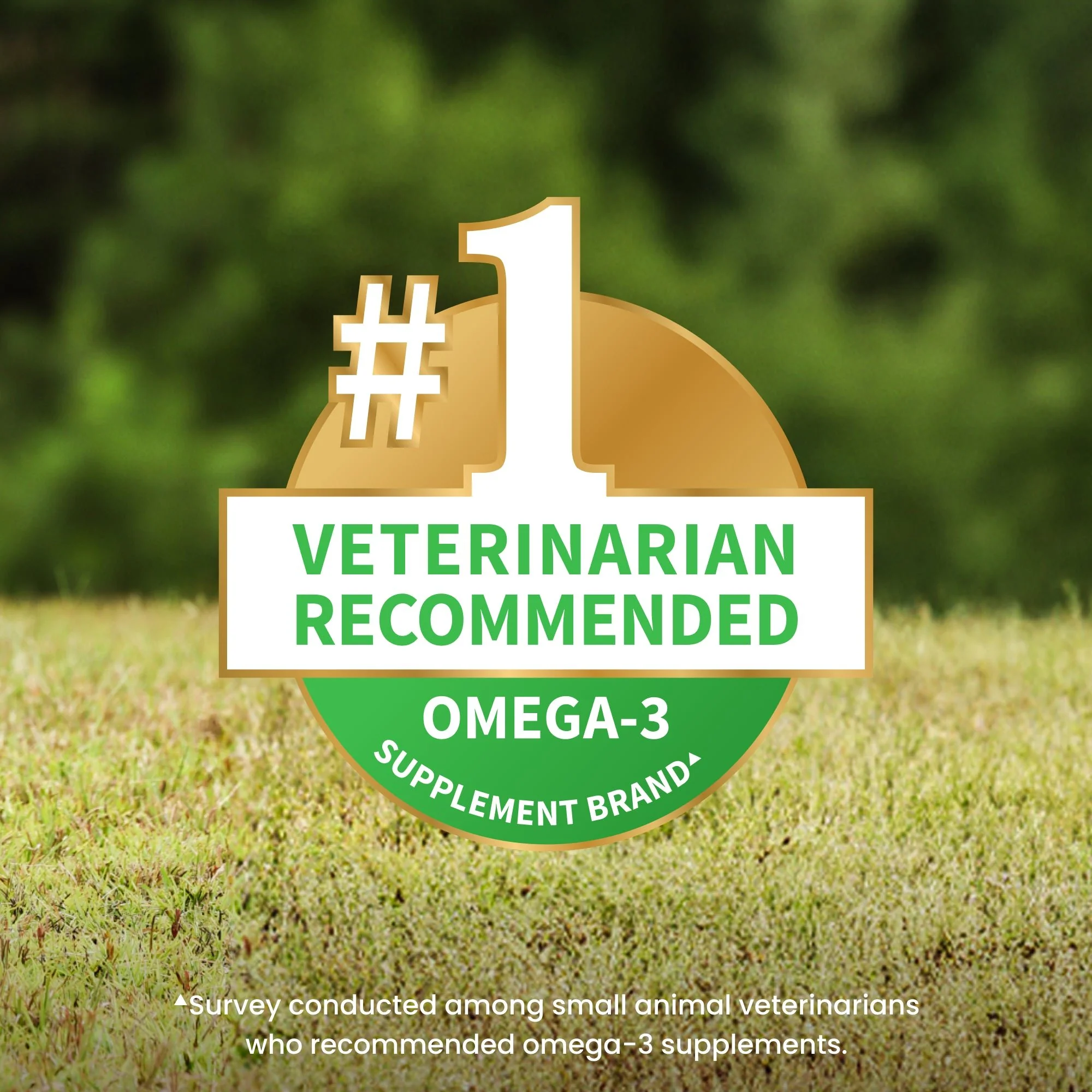 Nutramax Welactin Canine Softgels - Omega 3 Supplement for Dogs - Image 3