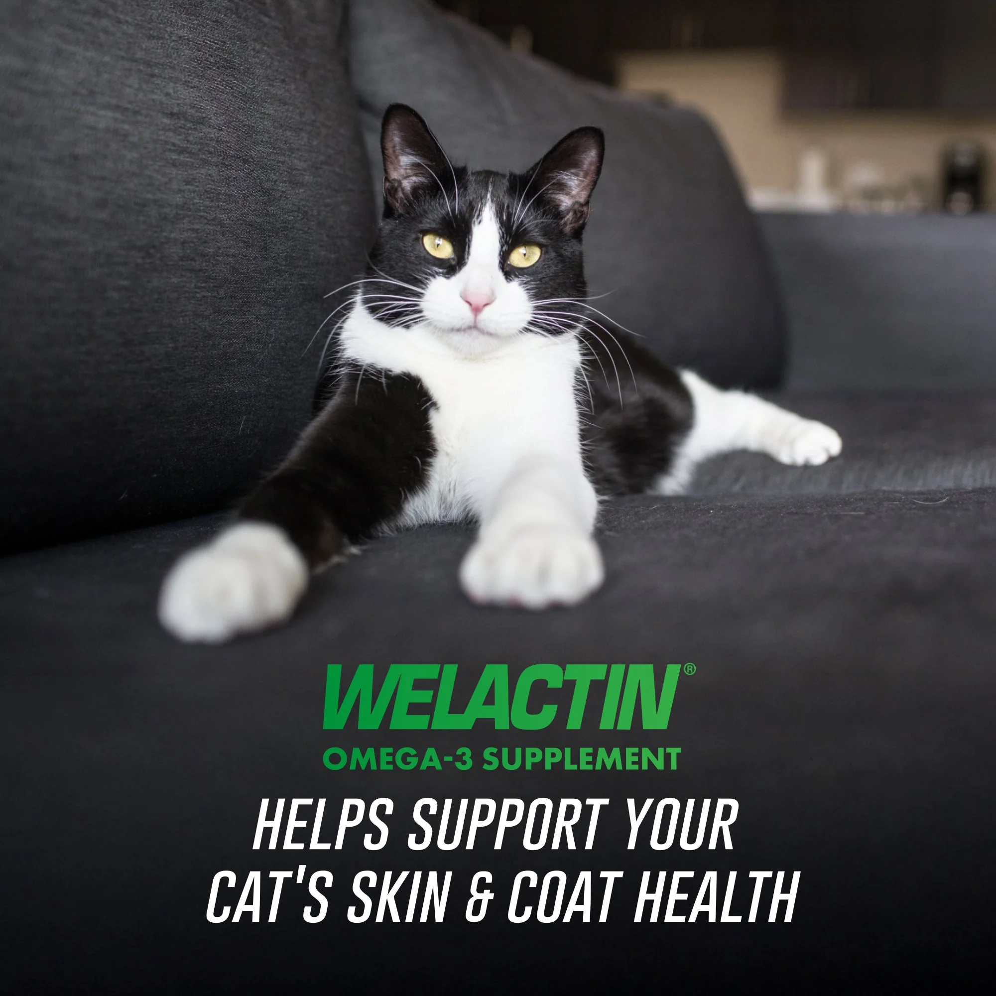 Nutramax Welactin Feline, 4 oz - Image 2