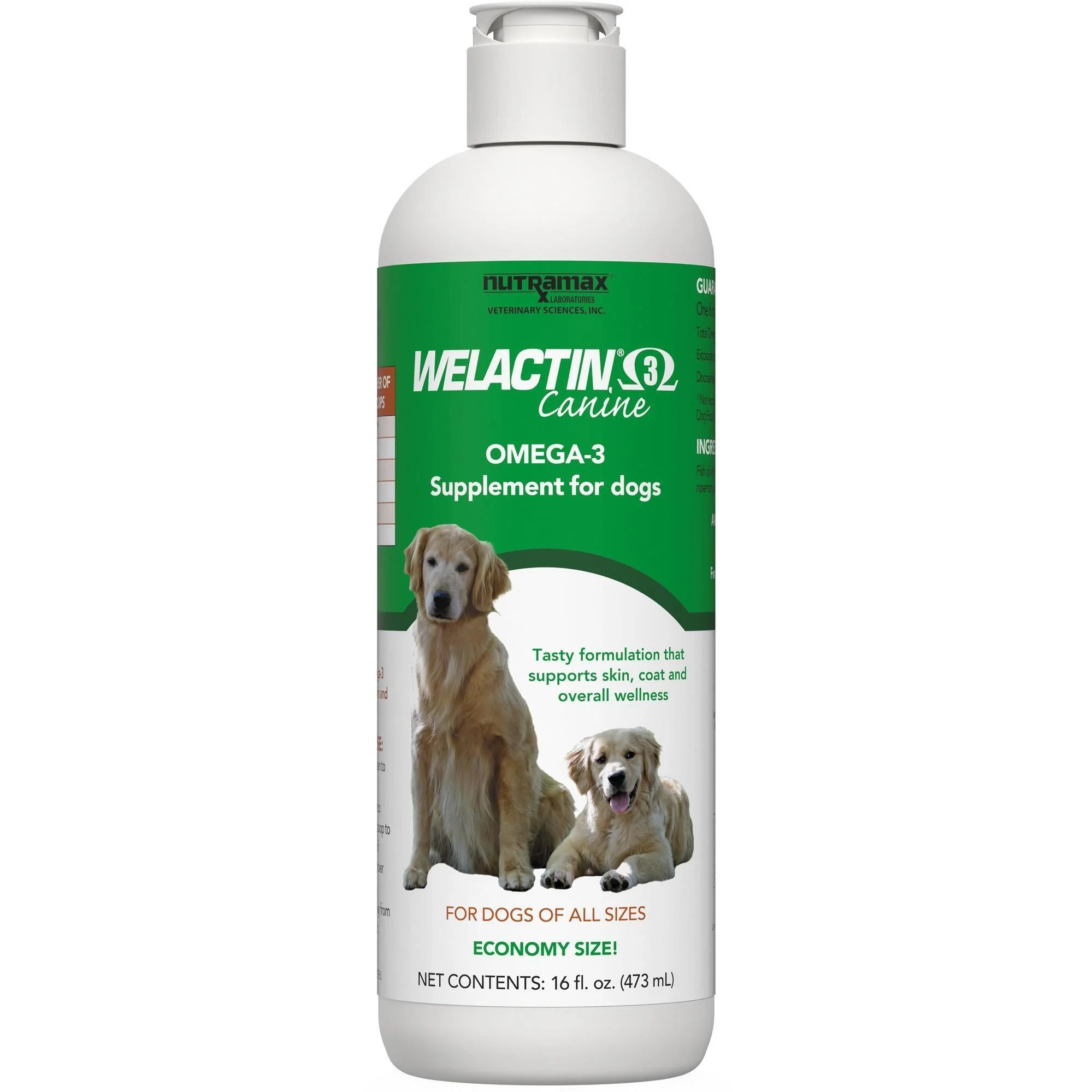 Nutramax Welactin Natural Omega-3 Liquid Skin & Coat Supplement for Dogs - Image 1