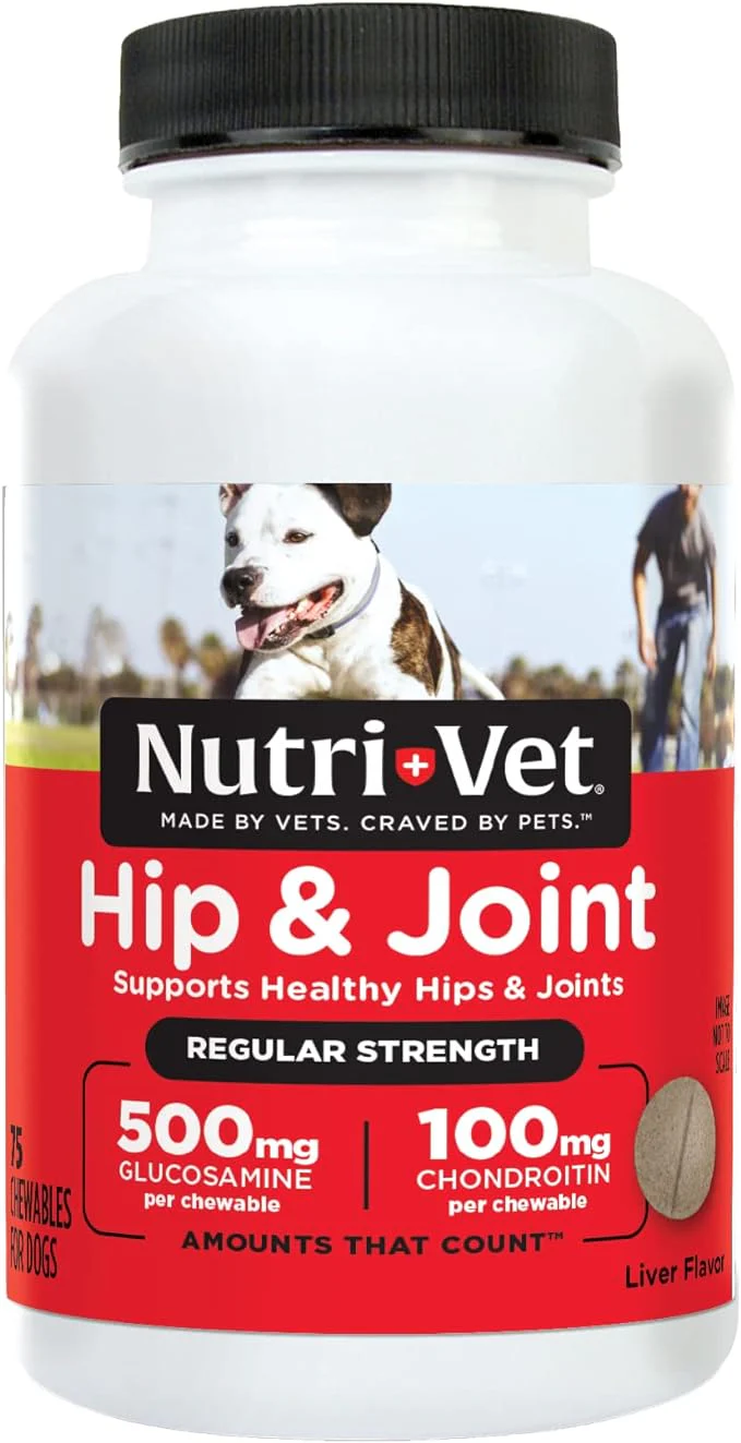 Nutri-Vet Hip & Joint Regular Strength Chewables for Dogs - Image 1