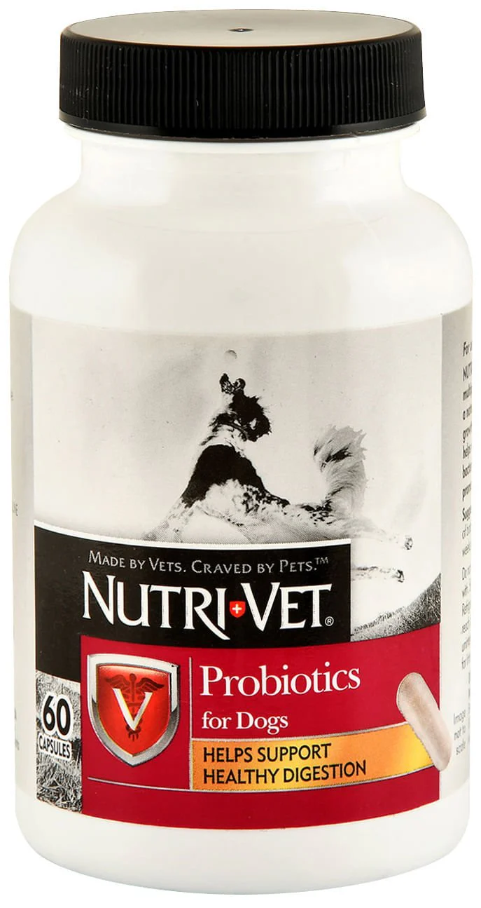 Nutri-Vet Probiotics for Dogs - Image 1