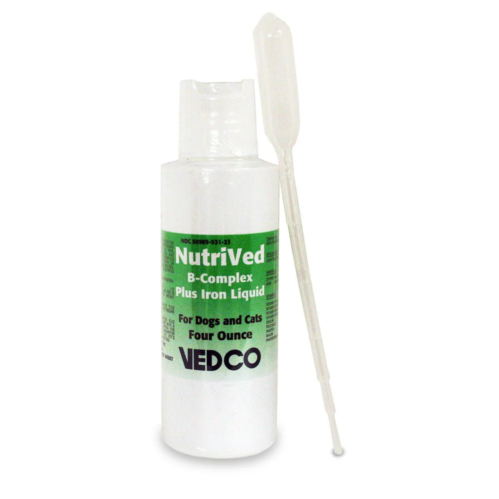 NutriVed B-Complex Plus Iron Liquid, 4 oz - Image 1