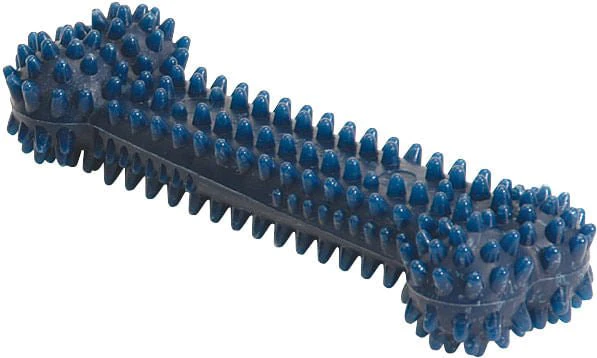 Nylabone Dental Chew Bone for Dogs - Image 1