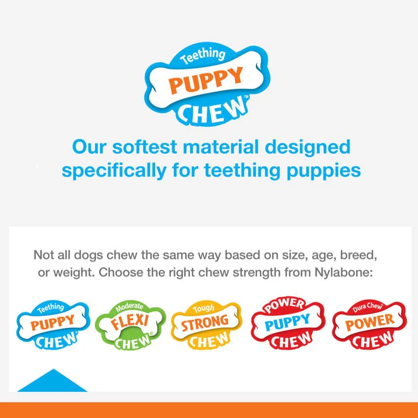 Nylabone Puppy Teething Pacifier Bacon Flavor Chew Toy - Image 3