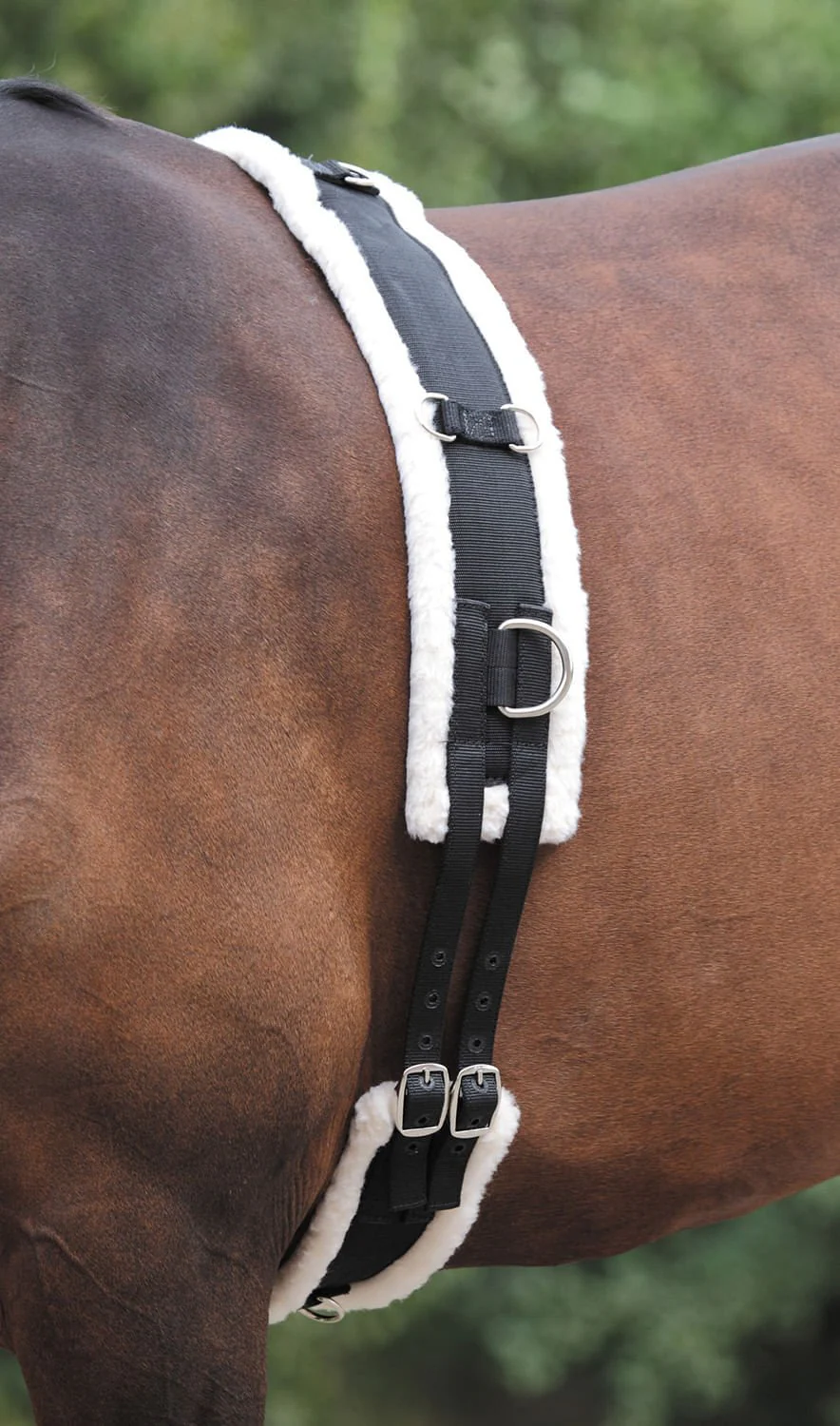 Nylon Lunging Surcingle W/ Fleece Padding - Image 1