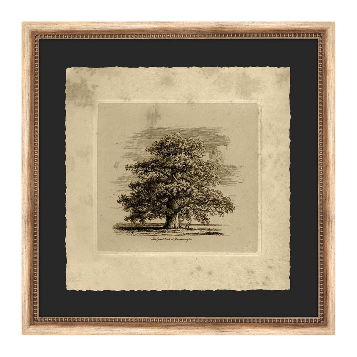 Oak Vintage Sketch - Image 1