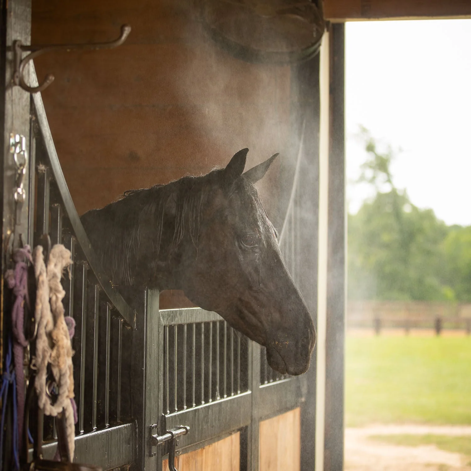Ocean Breeze Evaporative Cooling System for Stables, Barns, and Kennels - Image 3