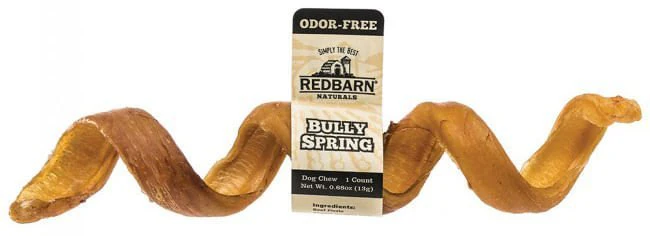 Odor-Free Bully Springs Dog Chew Treat, 6" - Image 3