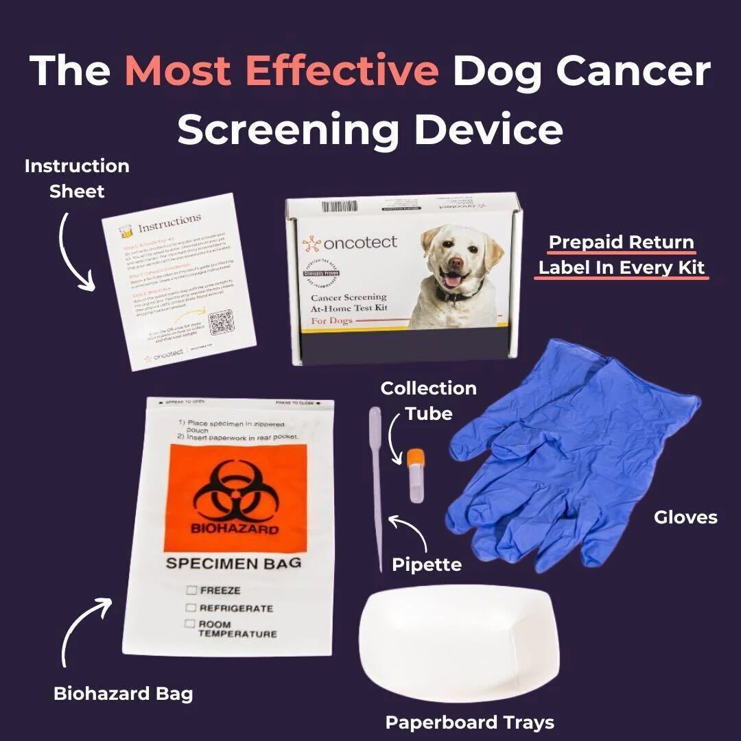 Oncotect Essential At-Home Dog Cancer Screening Test Kit - Image 3