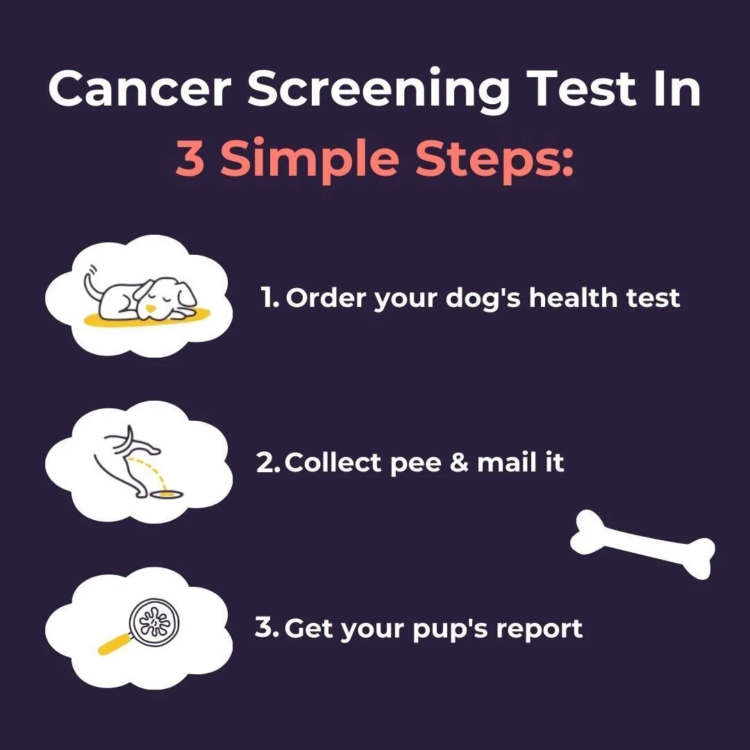 Oncotect Essential At-Home Dog Cancer Screening Test Kit - Image 2