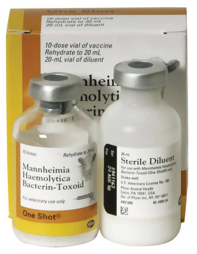 One Shot Pasteurella Vaccine for Cattle - Image 3