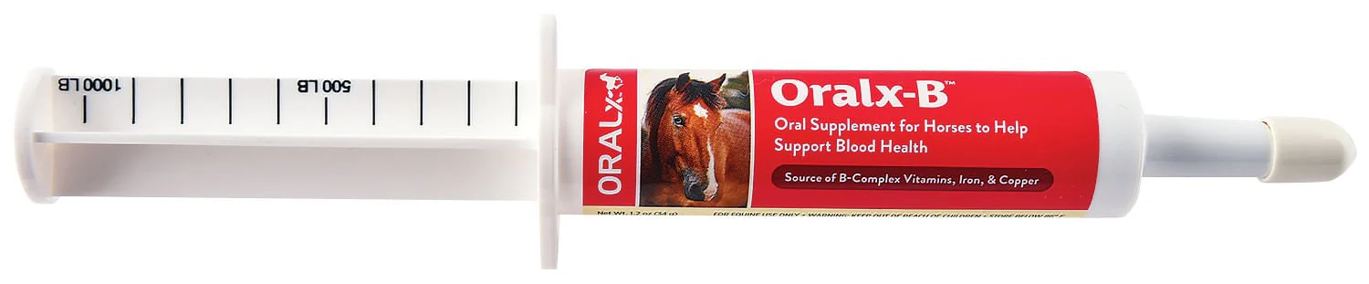 Oral X-B – Blood Health Supplement for Horses - Image 1