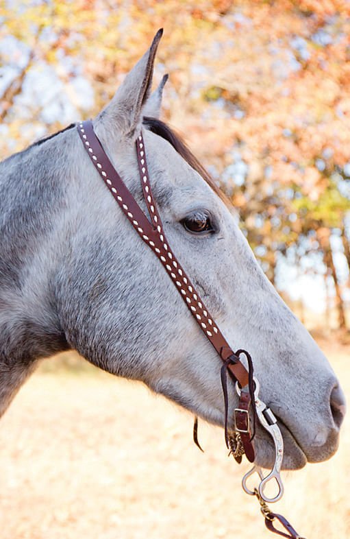 Oxbow Tack Split Ear Harness Leather Headstall with Buckstitch - Image 2