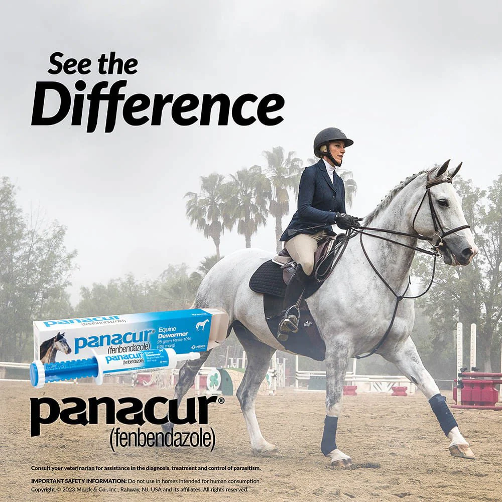 Panacur Equine Fenbendazole Dewormer Paste - Image 2