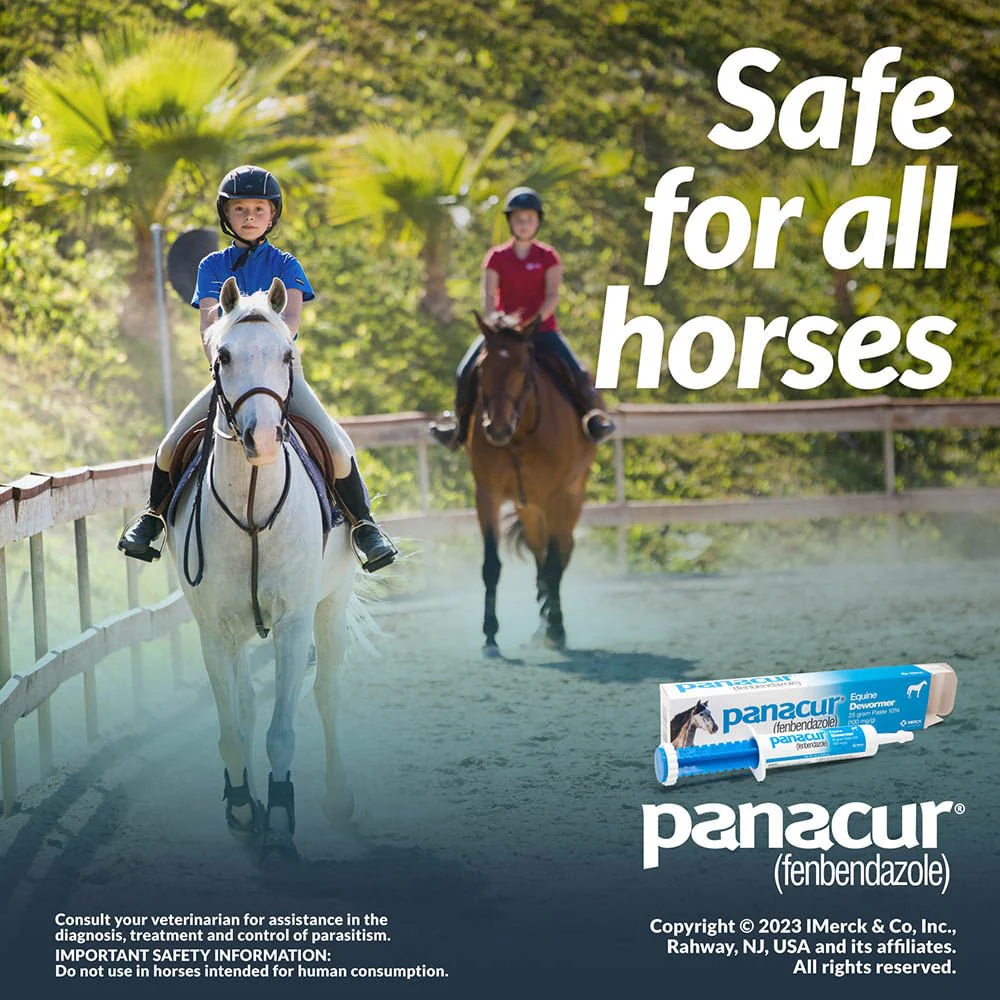 Panacur Equine Fenbendazole Dewormer Paste - Image 3