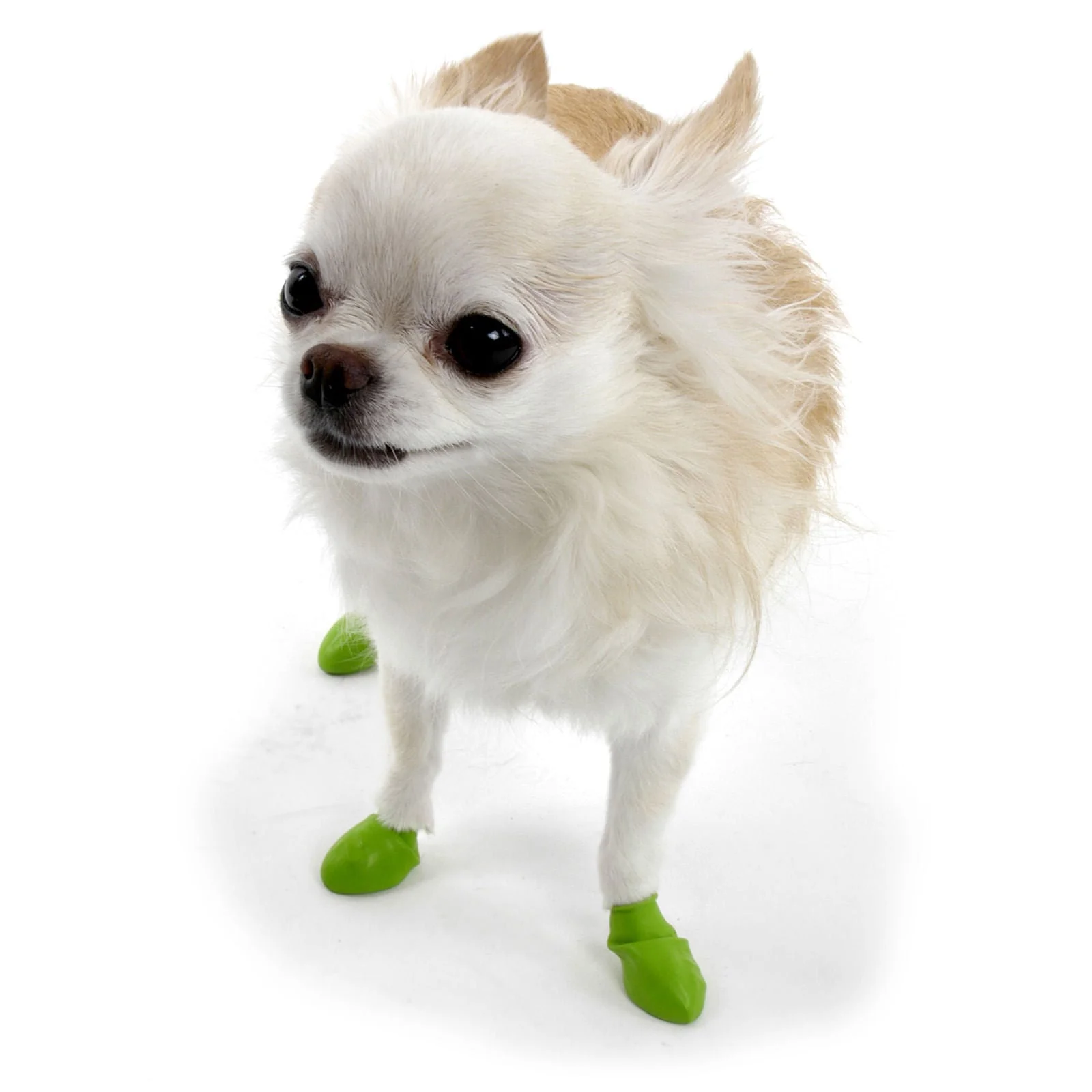 PawZ Waterproof Dog Boots – Disposable, Reusable, Non-Slip Paw Protectors, 12 Pack - Image 1