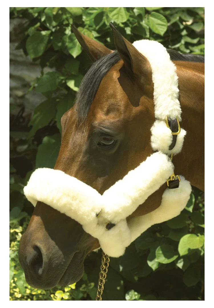 Perri's Genuine Sheepskin Shipping Halter, Havana/Natural - Image 1