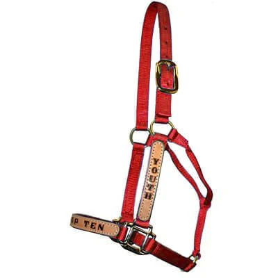 Personalized Nylon Halter, Standard (800-1100 lb) by Supreme Western - Image 3
