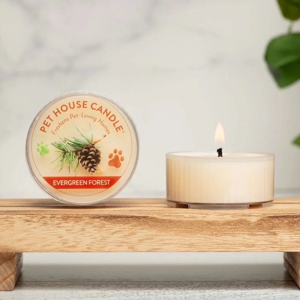 Pet House Mini Candle 1.5 oz – Pet-Friendly Odor Eliminating Candle - Image 3