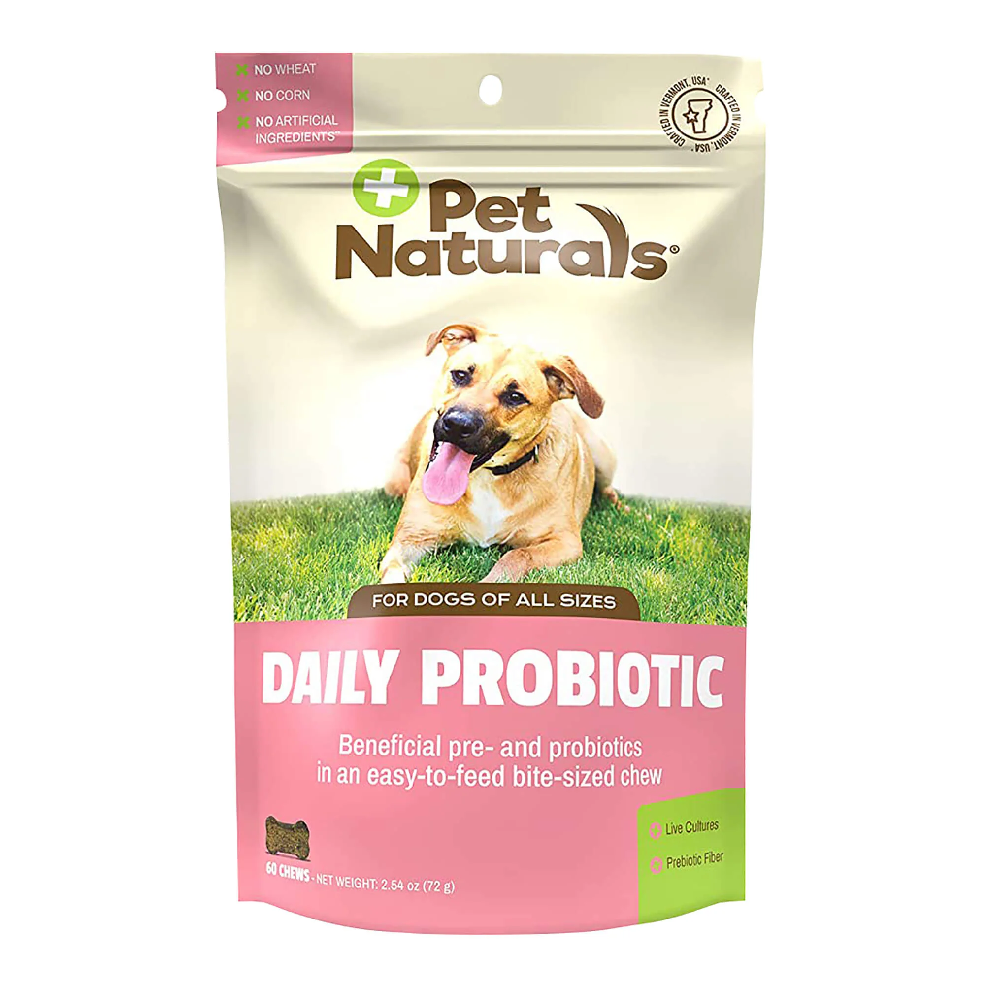 Pet Naturals Daily Probiotic Chew for Dogs, 60 ct - Image 1