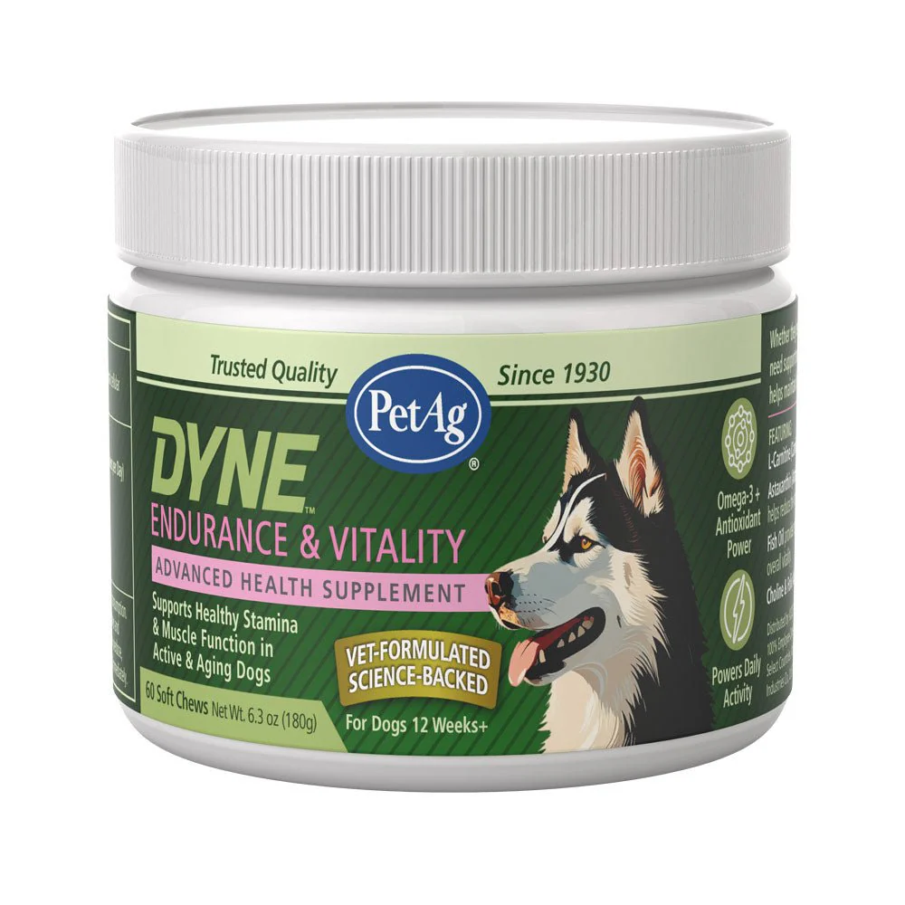 PetAg Dyne Endurance & Vitality Soft Chews for Dogs – Chicken Liver Flavor, 60 Count - Image 1