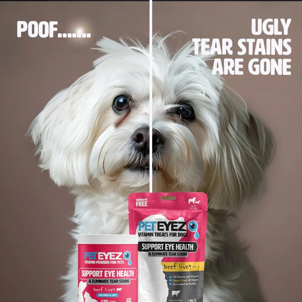 PetEyez Vitamin Treats for Dog Eye Health - Image 3