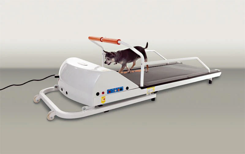 PetRun Small Breed Treadmill (PR710F) - Image 1