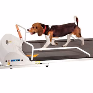 PetRun Small Medium Breed Treadmill (PR720F) - Image 2