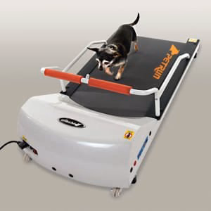 PetRun Toy Breed Treadmill (PR700) - Image 1