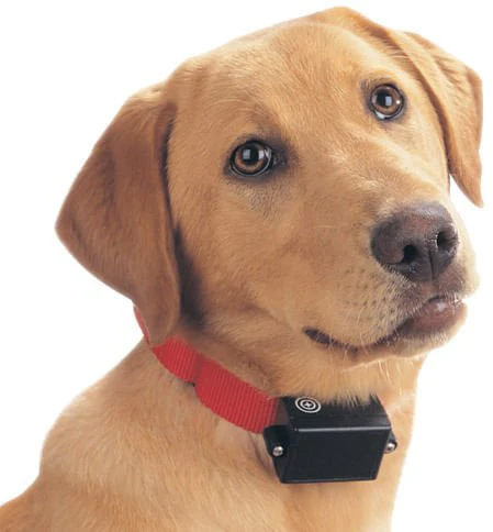 PetSafe Batteries (RFA-67D), 2 pack - Image 1